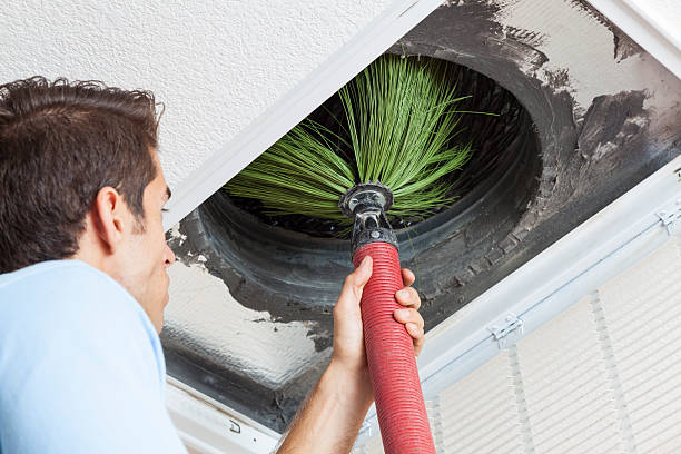 Best Air Duct Mold Removal  in Centerville, IA